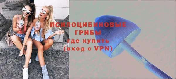 мдпв Дмитров