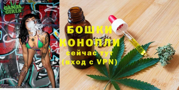 молекула духа Дмитриев