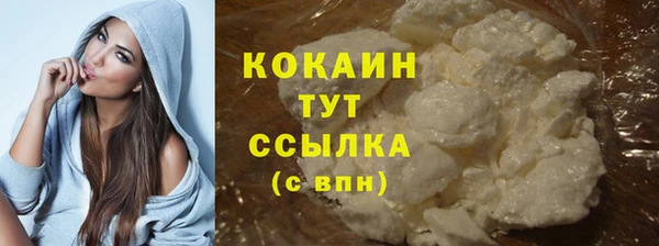 индика Дмитровск