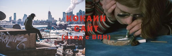 индика Дмитровск
