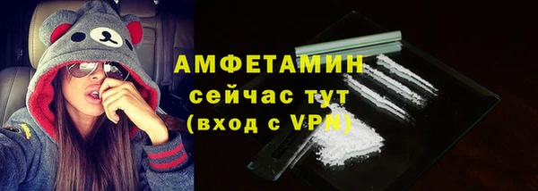 индика Дмитровск