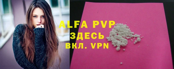 индика Дмитровск
