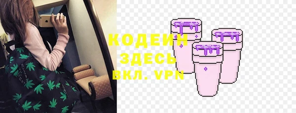 индика Дмитровск