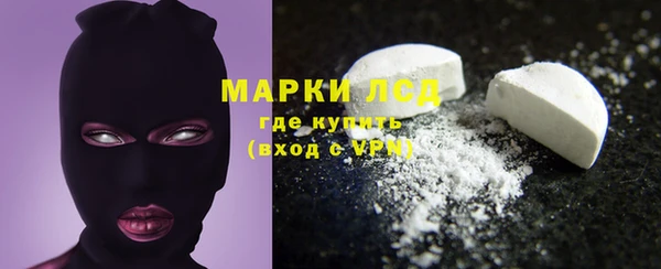 индика Дмитровск