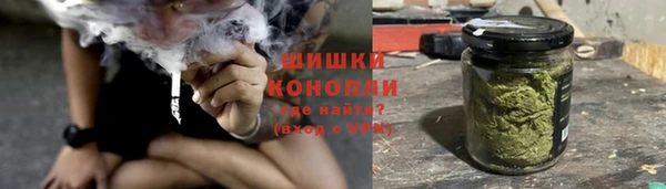 молекула духа Дмитриев