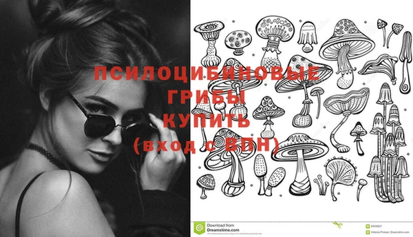 молекула духа Дмитриев