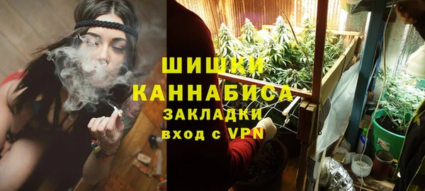 мдпв Дмитров