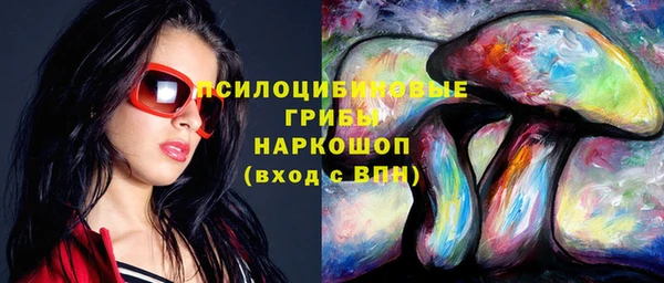 мдпв Дмитров