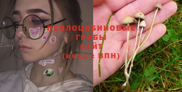 индика Дмитровск