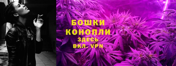 индика Дмитровск
