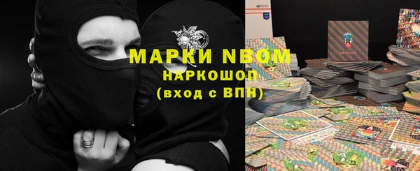 индика Дмитровск