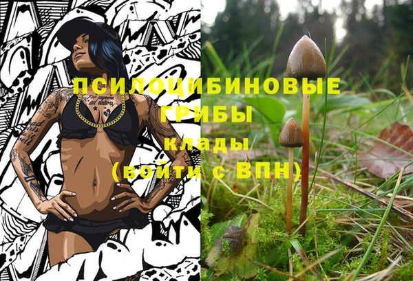 стаф Гусев