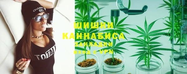 молекула духа Дмитриев
