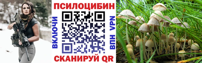 Галлюциногенные грибы мухоморы  мориарти клад  ссылка на мегу   Черняховск  купить наркоту 