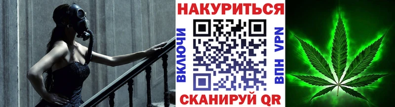 Каннабис план Черняховск